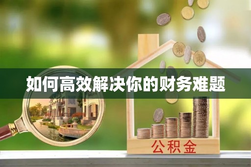 西陵如何高效解决你的财务难题